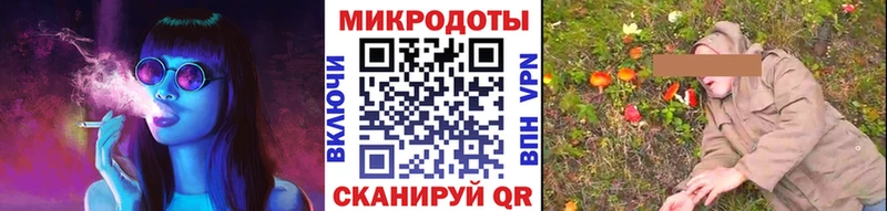Псилоцибиновые грибы прущие грибы Болгар